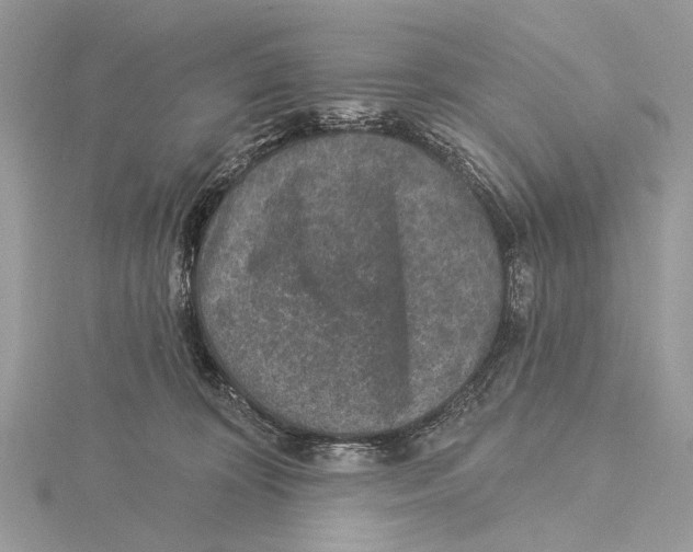 X0000115530324200912040955