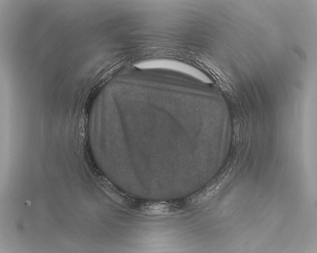 X0000115530325200912040955