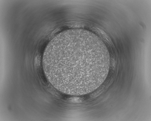 X0000115530326200912040955