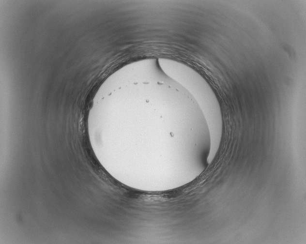 X0000115530327200912040955