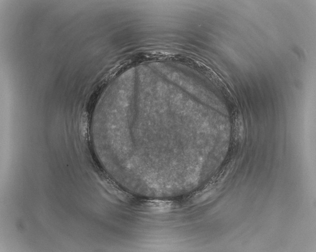 X0000115530328200912040955