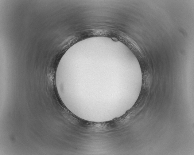 X0000115530329200912040955