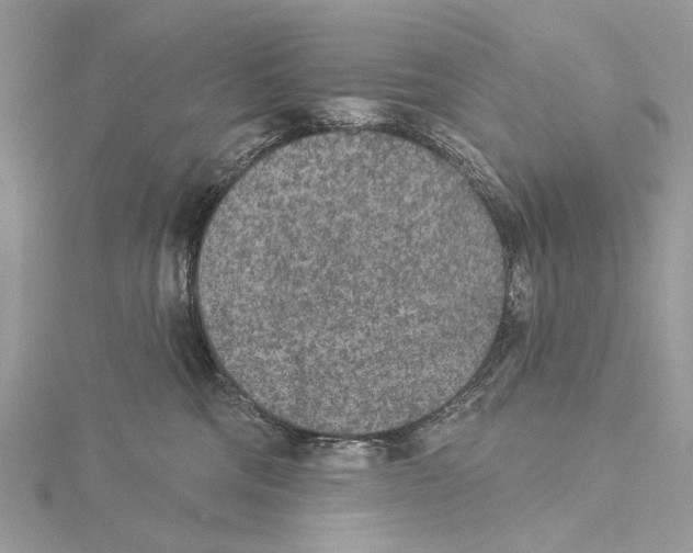 X0000115530330200912040955