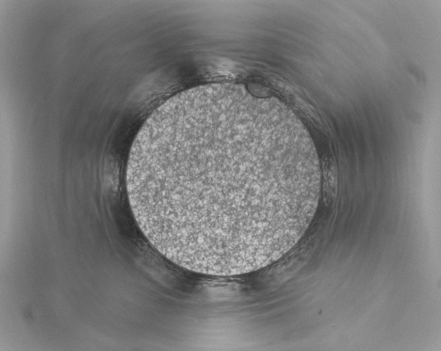 X0000115530331200912040955