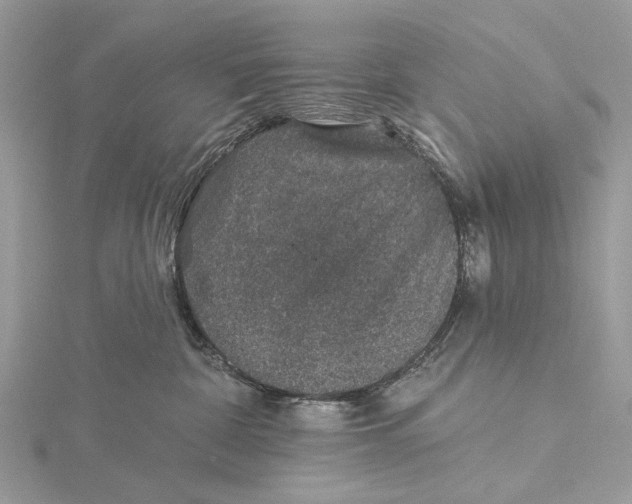 X0000115530332200912040955