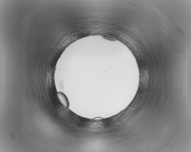 X0000115530333200912040955