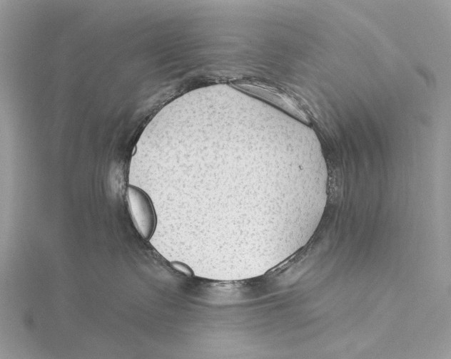 X0000115530335200912040955