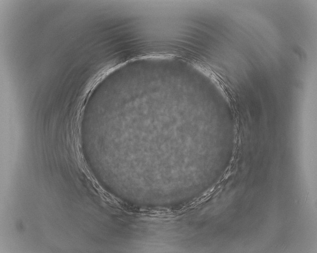 X0000115530337200912040954