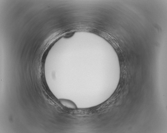 X0000115530338200912040954