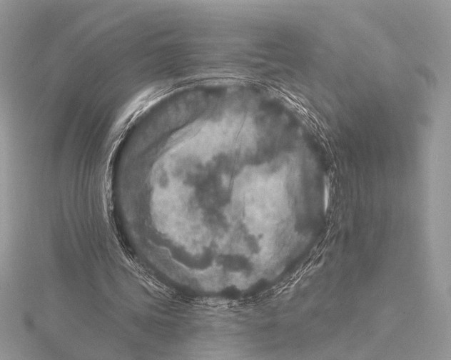 X0000115530339200912040954