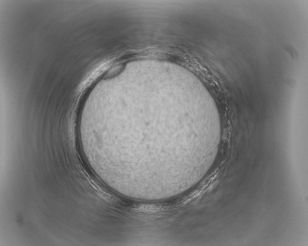 X0000115530341200912040954