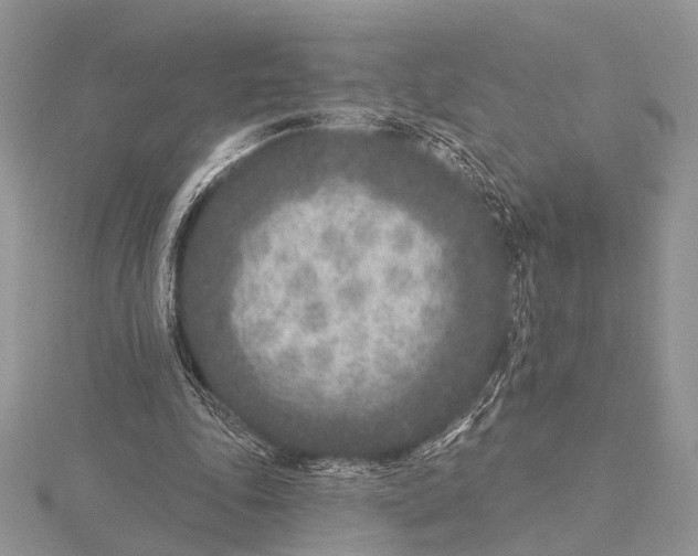 X0000115530343200912040955