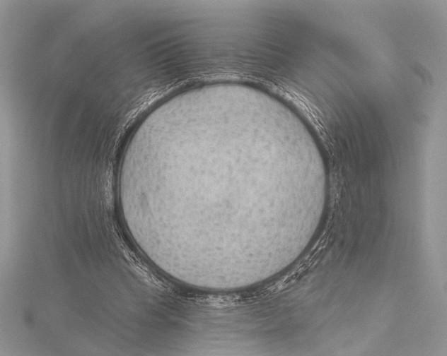 X0000115530345200912040955