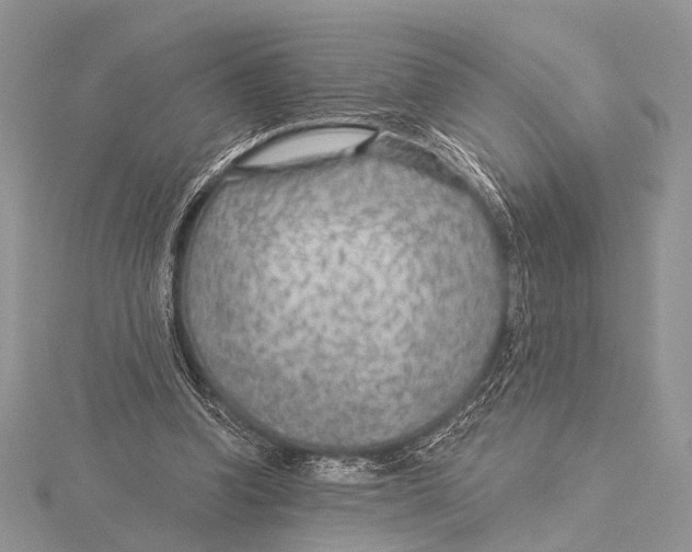 X0000115530346200912040955