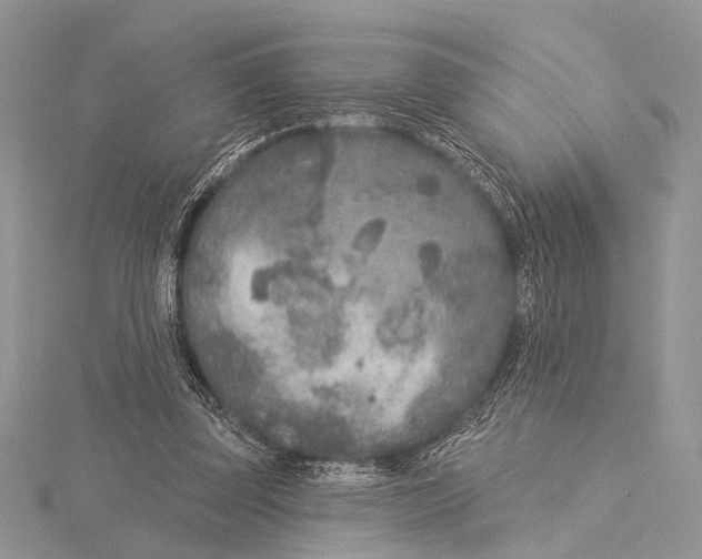 X0000115530347200912040955