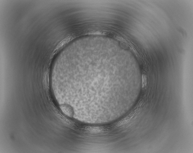 X0000115530349200912040955