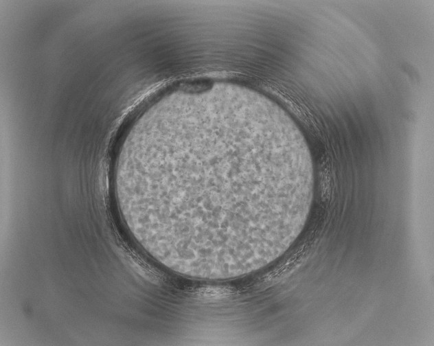 X0000115530350200912040955