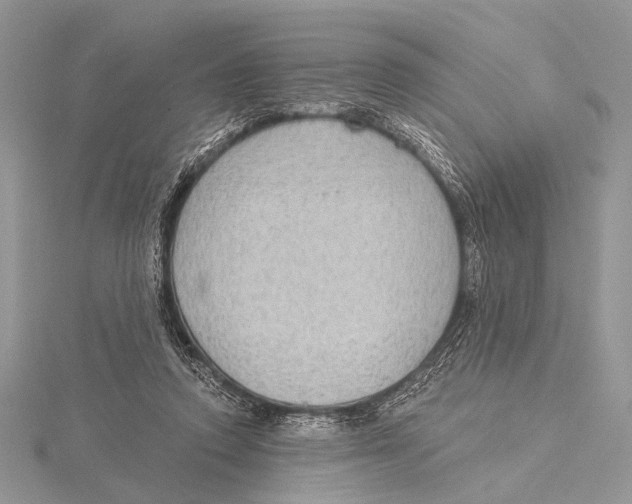 X0000115530354200912040955