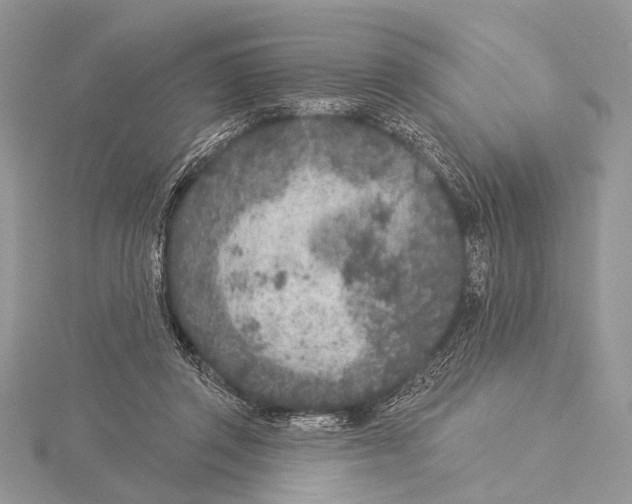 X0000115530357200912040955