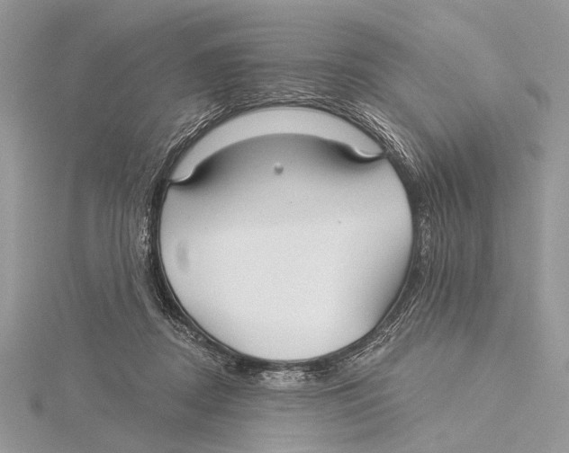 X0000115530362200912040955