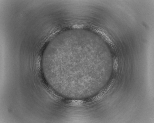 X0000115530363200912040955