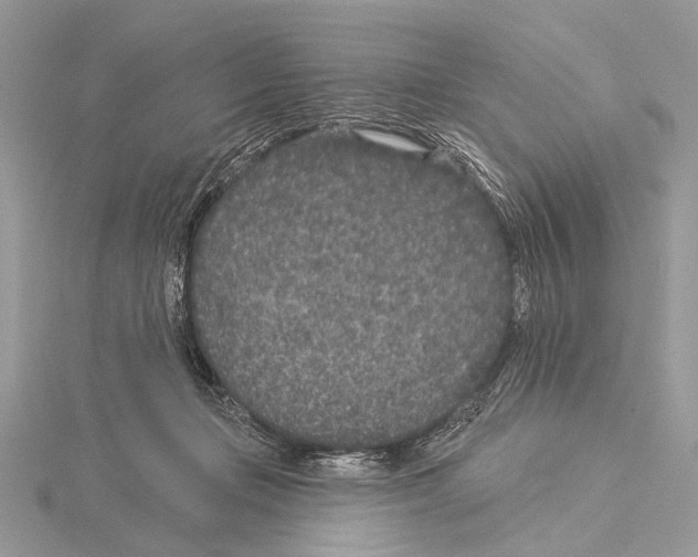 X0000115530365200912040955