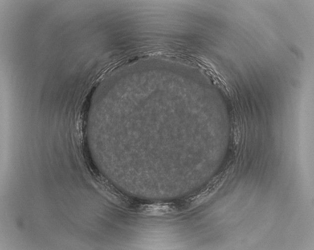 X0000115530366200912040955