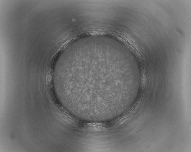 X0000115530367200912040955