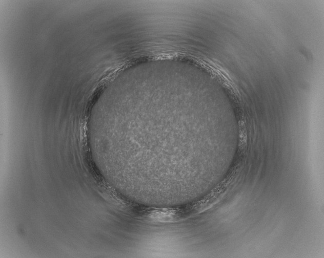 X0000115530369200912040955