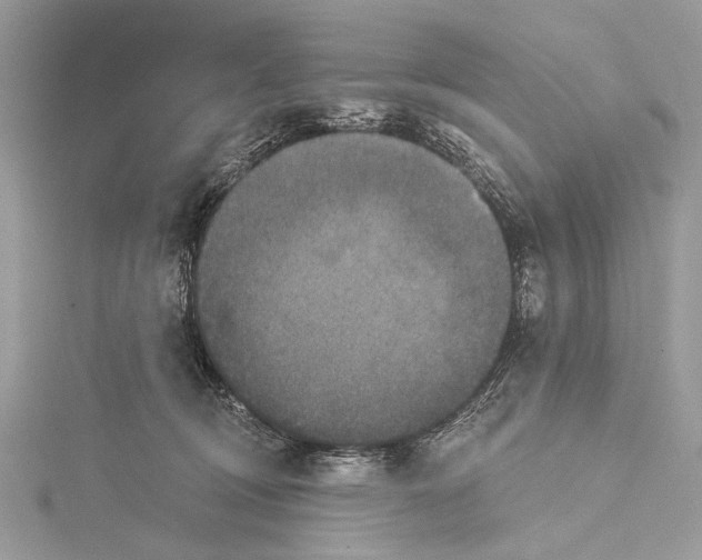 X0000115530370200912040955