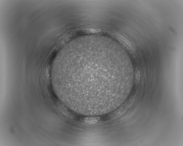 X0000115530373200912040955