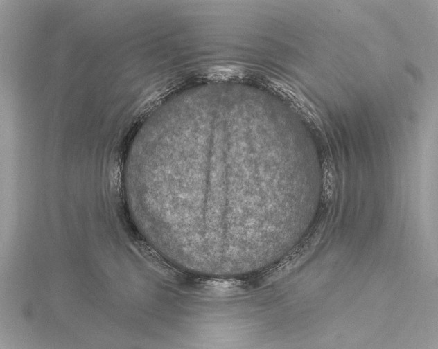 X0000115530375200912040955