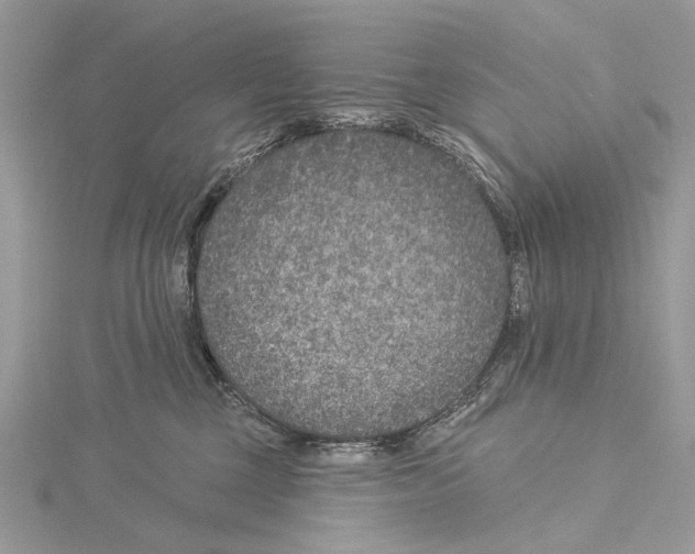 X0000115530377200912040955