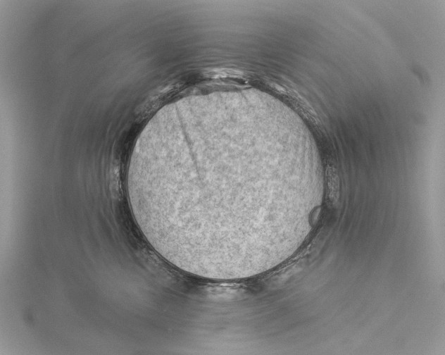 X0000115530378200912040955