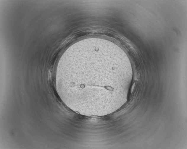 X0000115530382200912040955