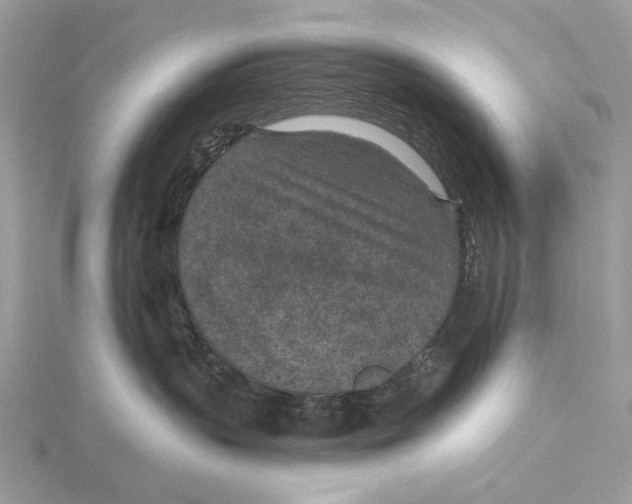 X0000115530383200912040955