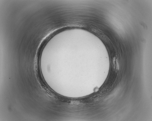 X0000115530388200912040954