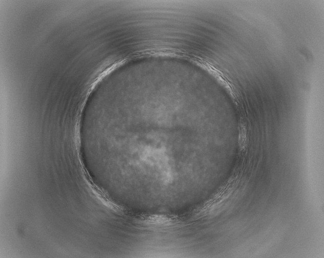 X0000115530390200912040954