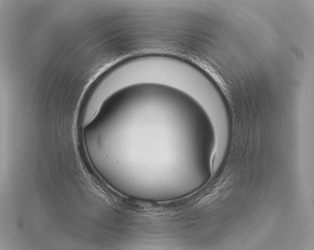 X0000115530391200912040954