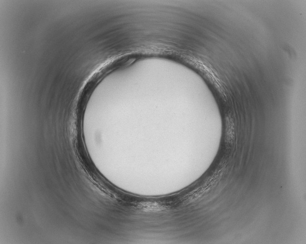 X0000115530392200912040954