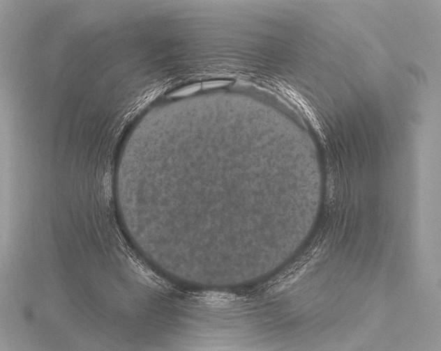 X0000115530393200912040954