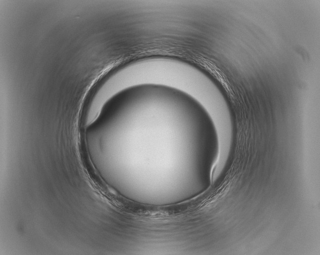 X0000115530395200912040954