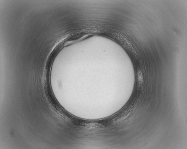 X0000115530396200912040954