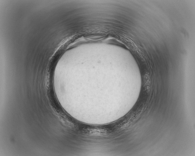 X0000115530400200912040954