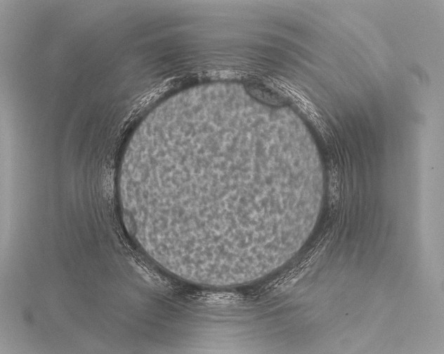 X0000115530401200912040954