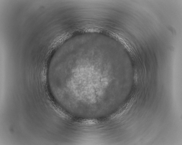 X0000115530402200912040954