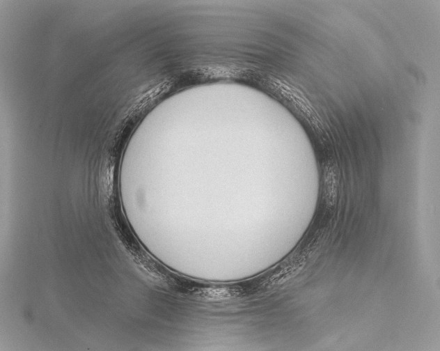 X0000115530406200912040954