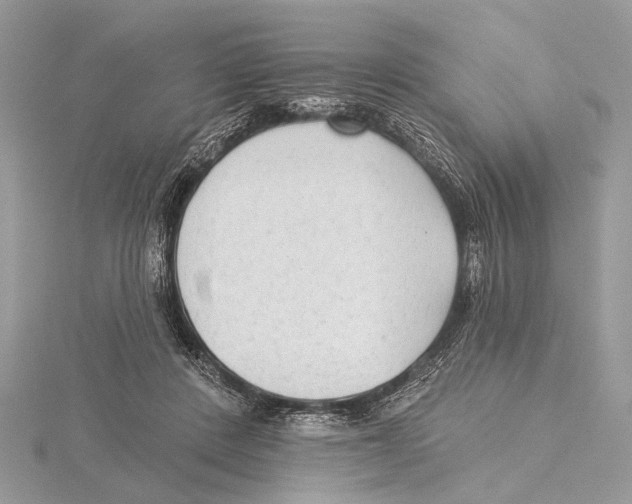 X0000115530408200912040954