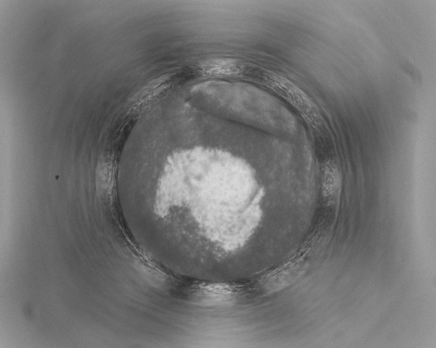 X0000115530409200912040954