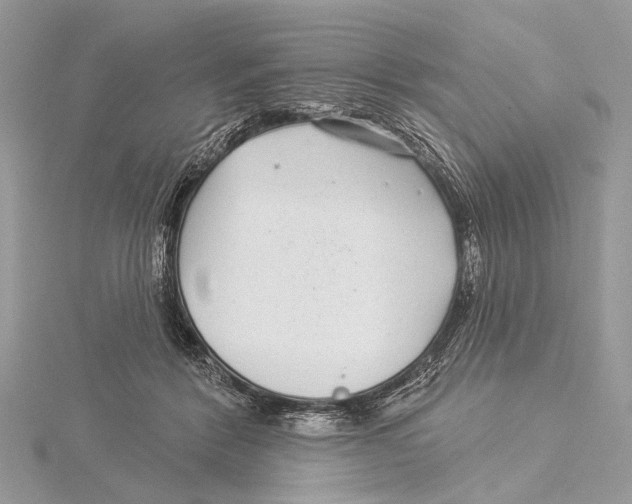 X0000115530412200912040954